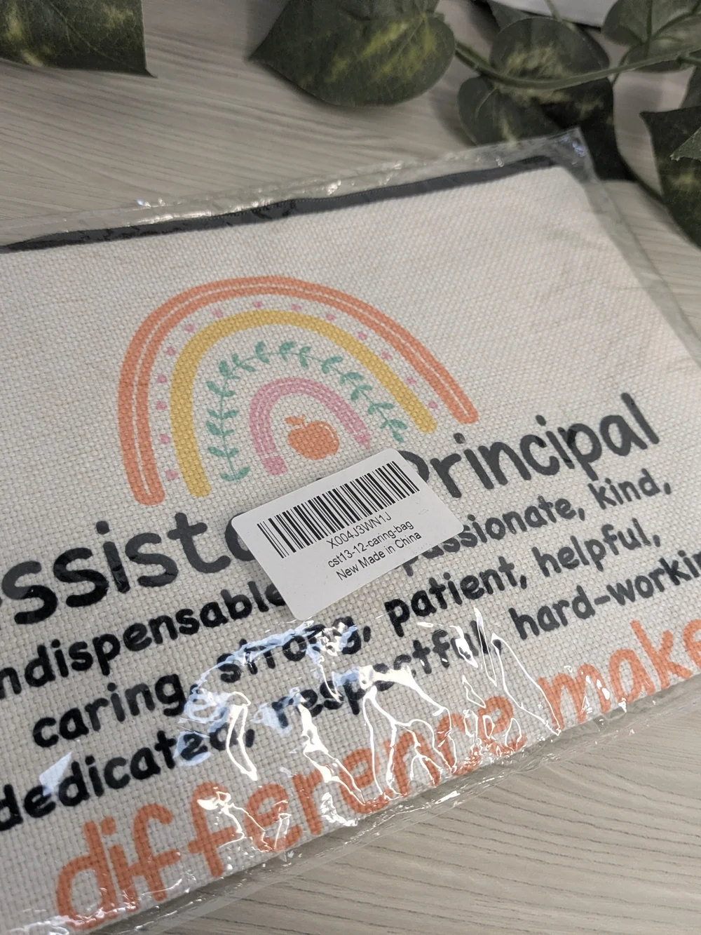 Assistant Principal Make Up Cosmetic Canvas Bag